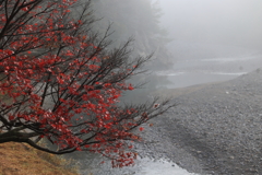 霧の立ち込める晩秋の渓谷