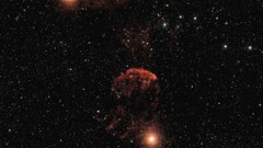 夜空に浮かぶクラゲ