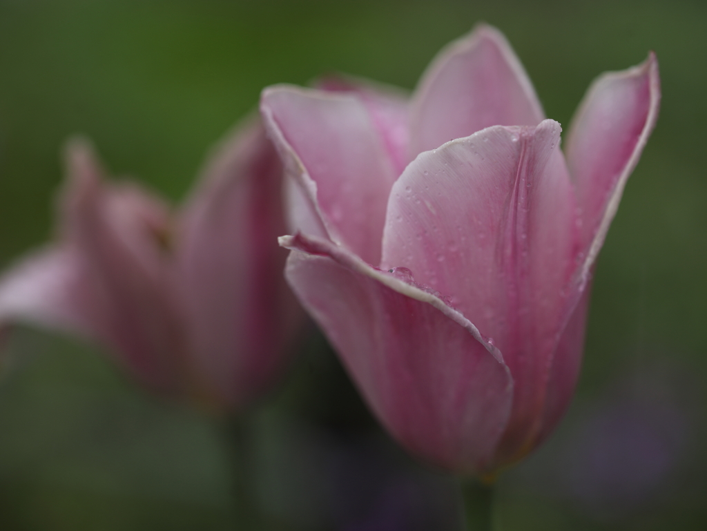 mysterious profundity Ⅳ