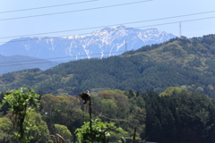 仙丈岳