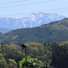 仙丈岳