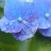 雨上がり