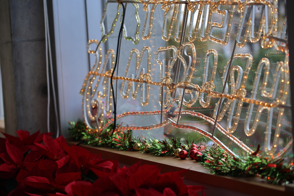 Christmas And Holiday Season