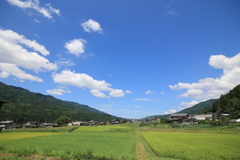 加子母村の夏