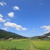 加子母村の夏
