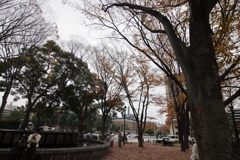 名古屋の秋