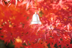赤いもみじとベル　紅葉クリスマス