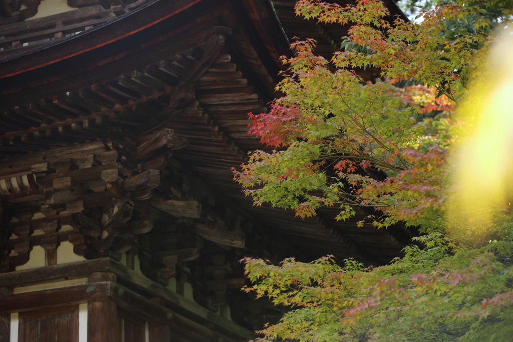 西明寺 三重塔
