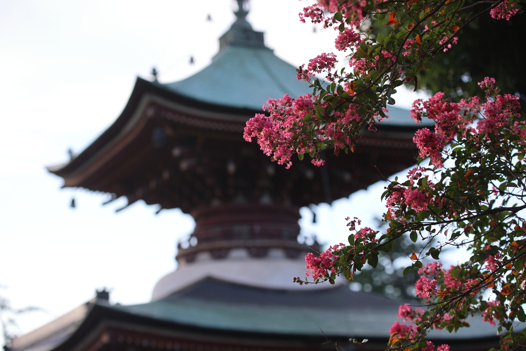 朝の多宝塔