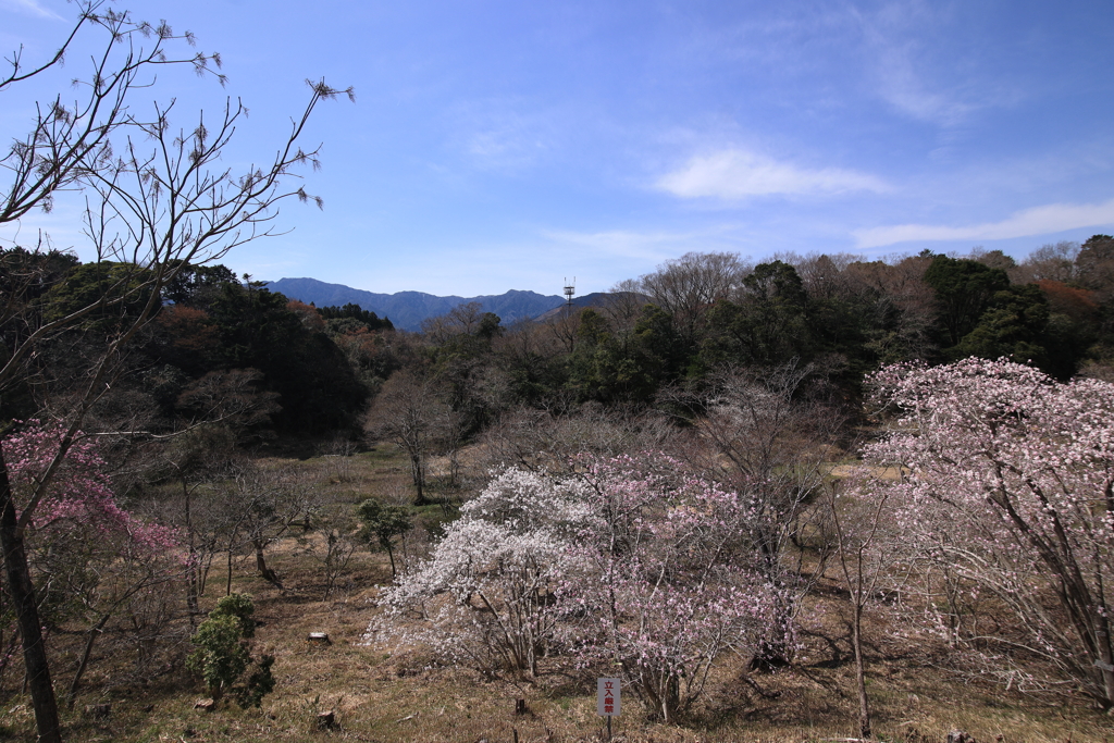 立ち入り禁止