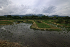 梅雨空