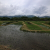 梅雨空