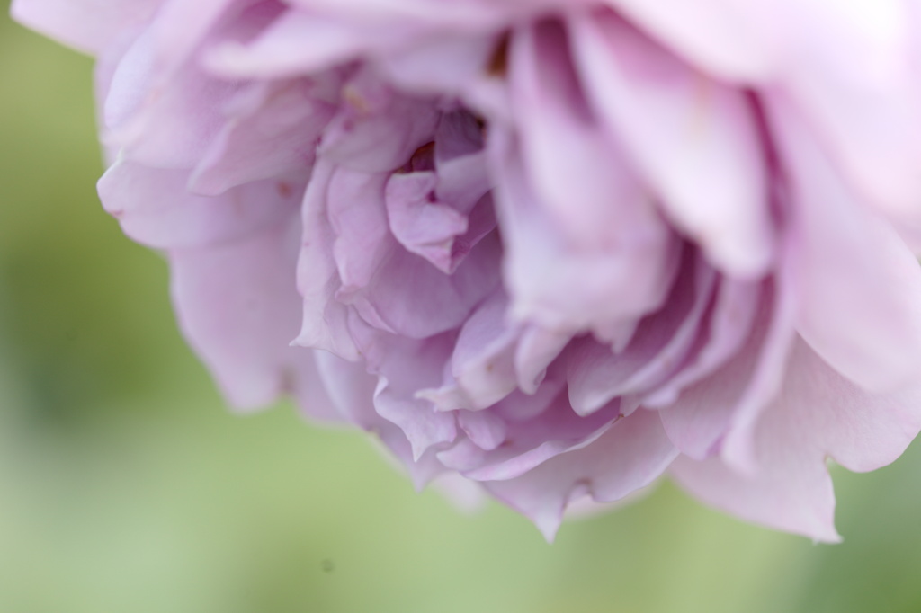 ブルーヘブンを君に