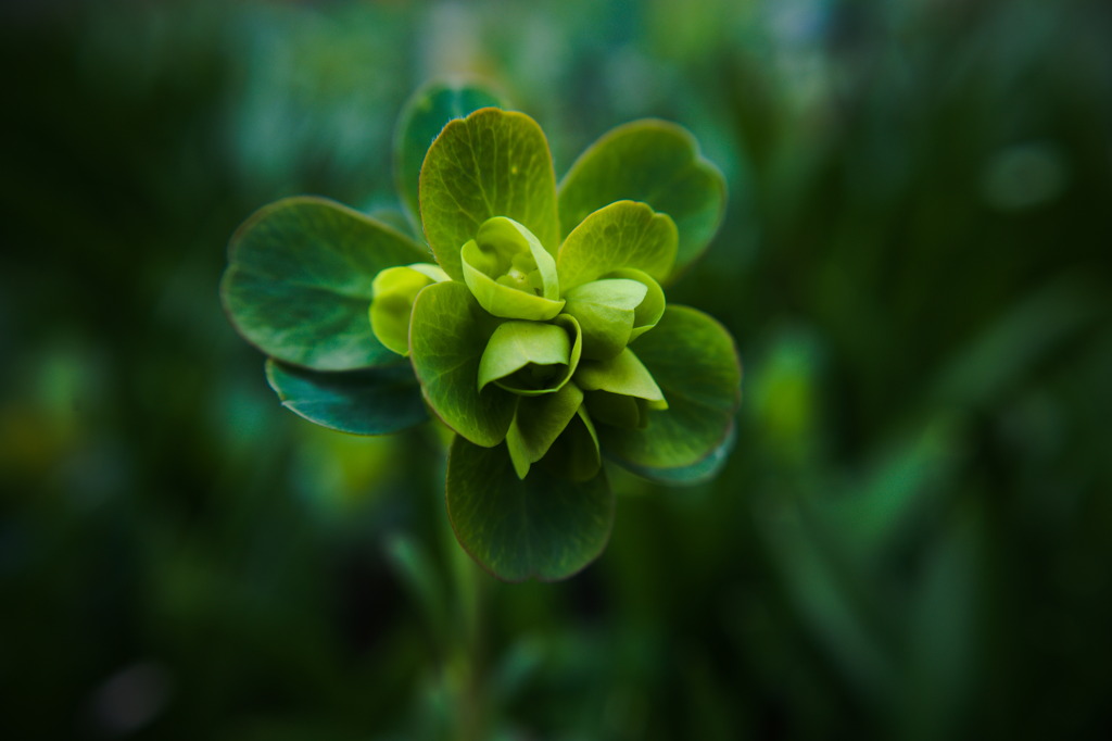 幻想的に