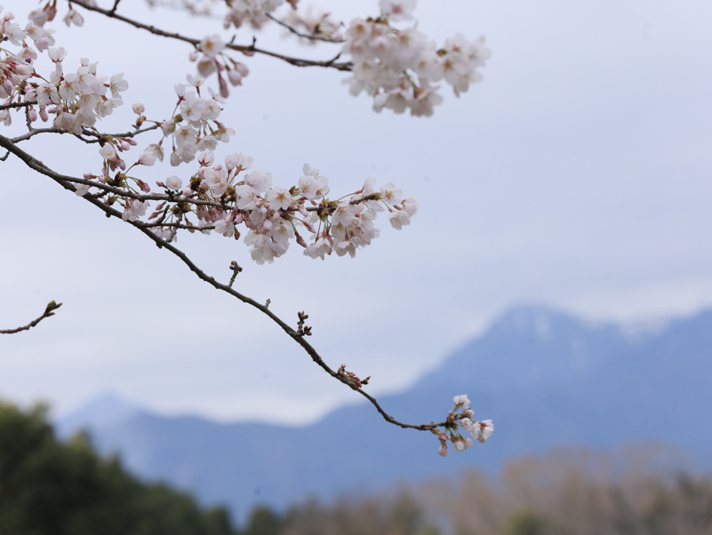 鈴鹿の里