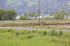 湖北の日常