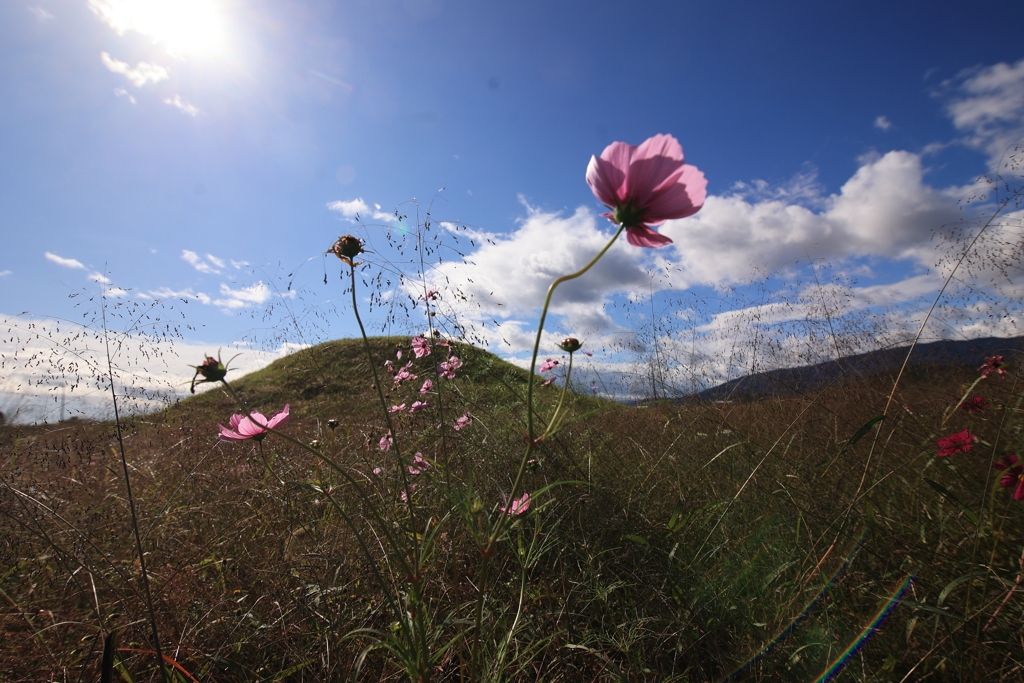 いにしえの時代(とき)