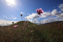 いにしえの時代(とき)