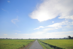 残暑は続くよ、どこまでも・・・