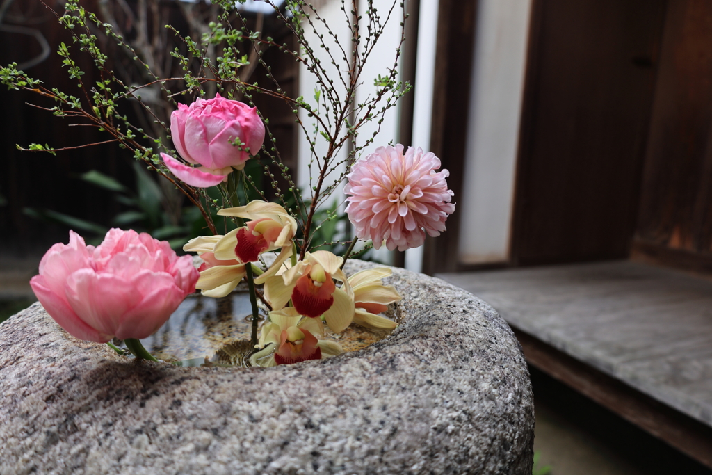 庭の生け花