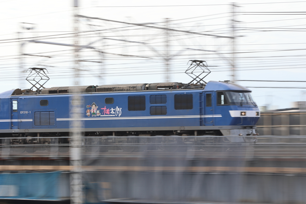 桃太郎疾走