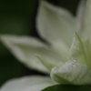 深淵に