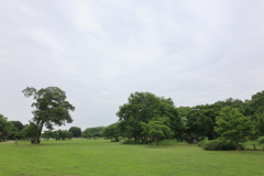 梅雨入りの朝