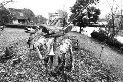 待ち遠しいトナカイの子