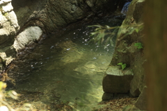水清く 南アルプス天然水