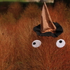 ハロウィンハット