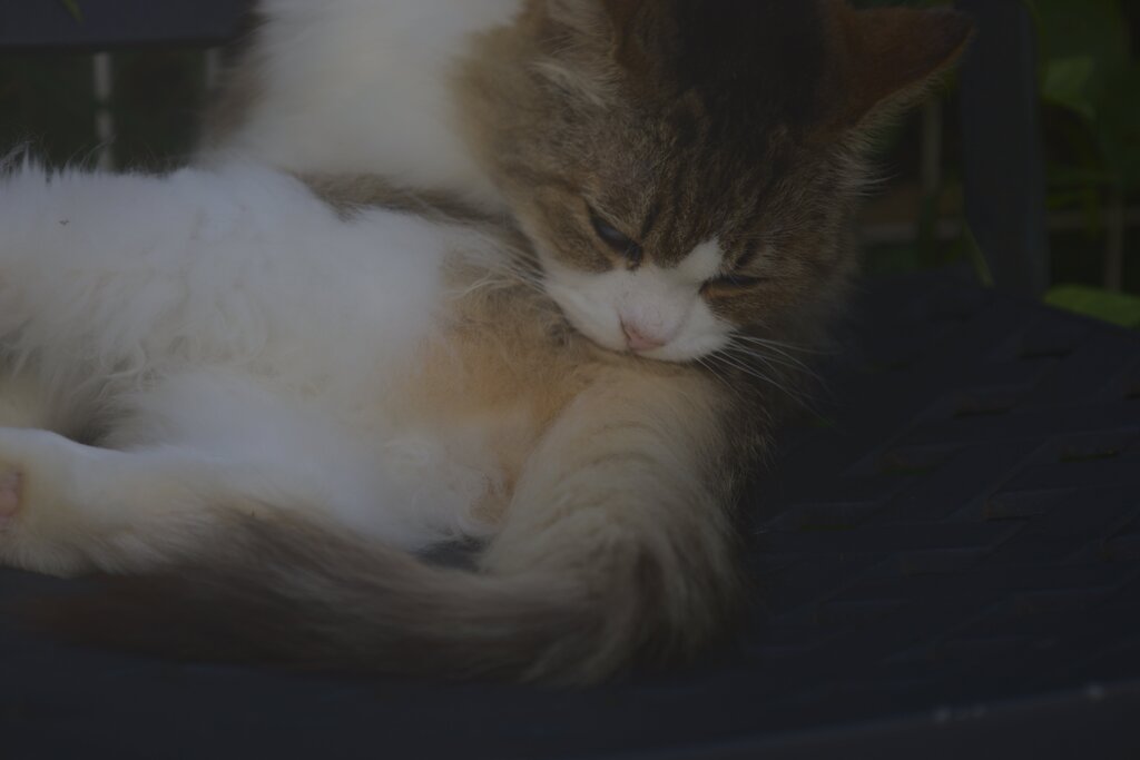 melancholy