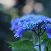 藍より青く