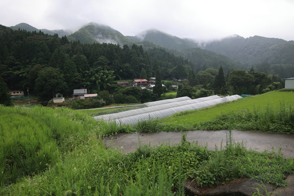 山村風景