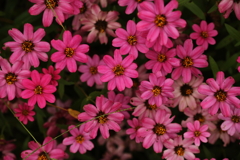 赤の世界 赤の世界