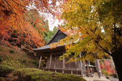 湖北の紅葉