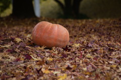 落ち葉、そして　かぼちゃ