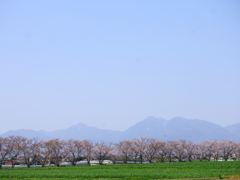 安曇野の春を思ふ