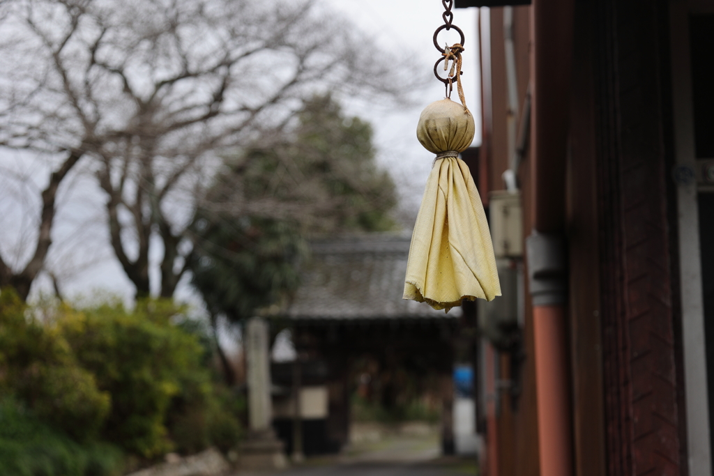 明日天気になぁ～れ