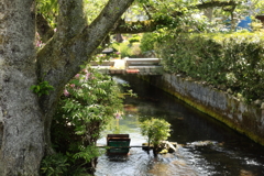 水清らな小川
