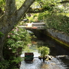 水清らな小川