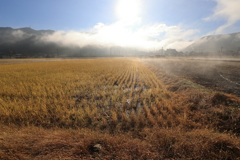 気嵐のような幻想的な光景