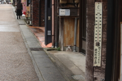 壊れた温度計 気温30℃寒っ!