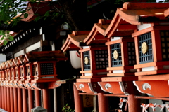 金刀比羅神社　～円頓寺商店街