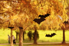 ハロウィンの夕