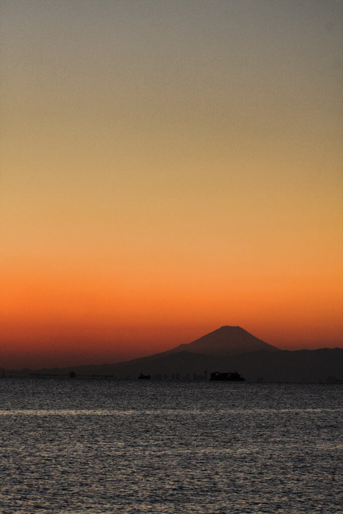 2008 TOKIO BAY