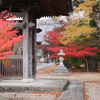 湖北のお寺の紅葉