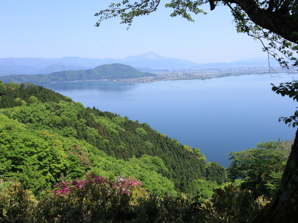 湖北の春