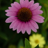 打ち上げ花火