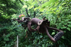 スコップ虫