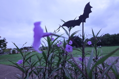 コウモリ舞う